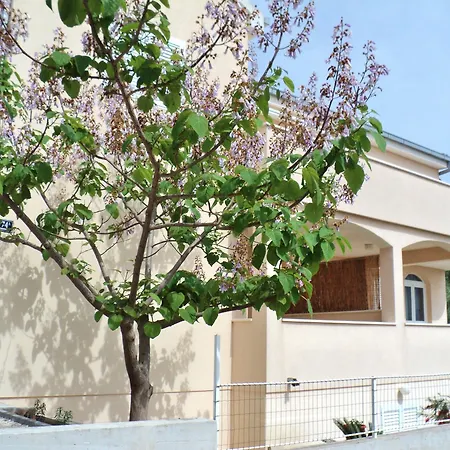 Casa de hóspedes And Ciovo Okrug Gornji